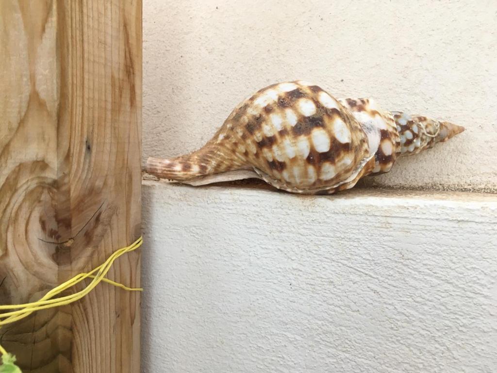 Cozy Bungalow コスタ・デル・シレンチオ エクステリア 写真